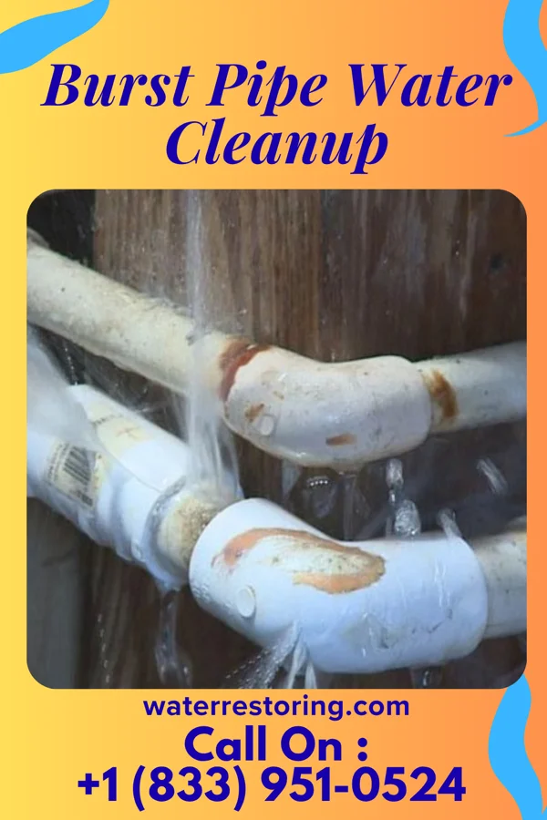 Burst Pipe Water Cleanup in Meadowbrook, AL