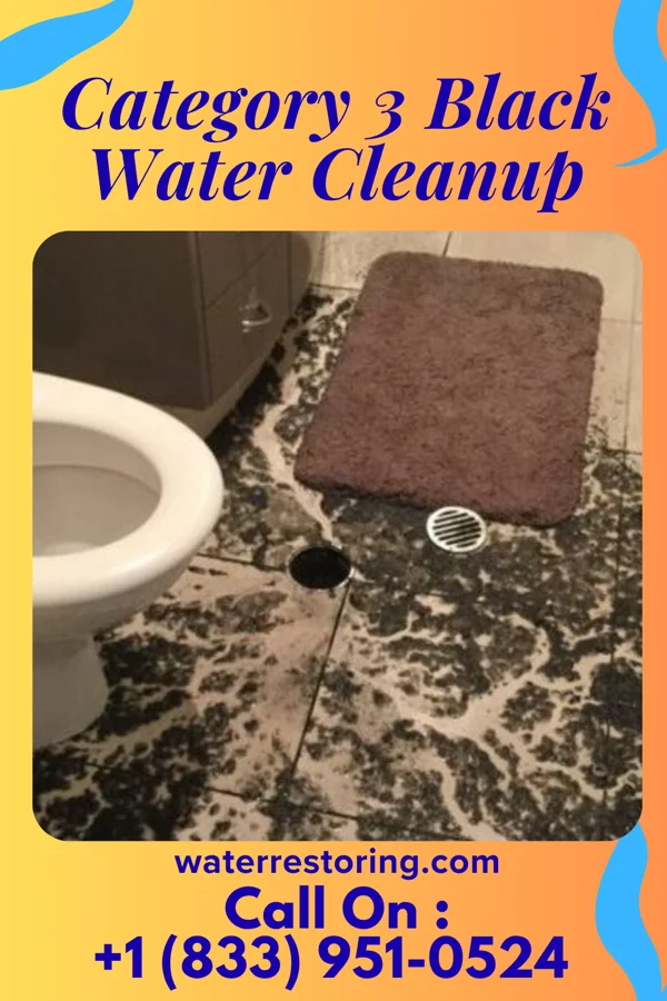 Category 3 Black Water Cleanup in Meadowbrook, AL