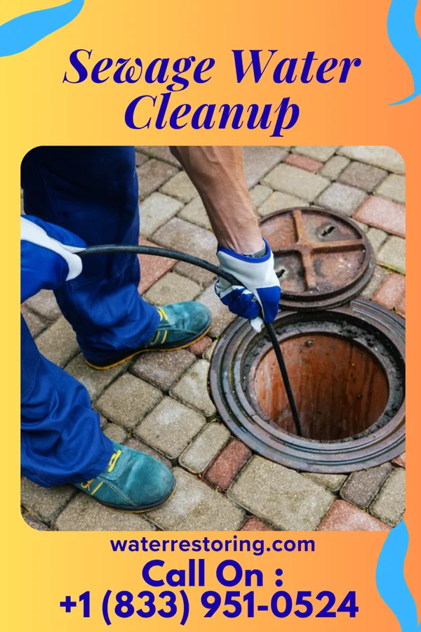 Sewage Water Cleanup in Meadowbrook, AL
